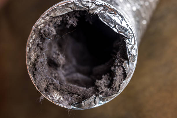 Best Air Duct Cleaning Near Me  in Oak Grove, VA
