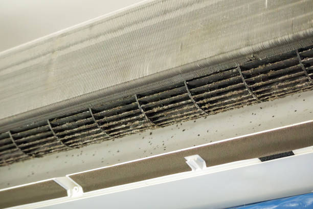 Best General Air Duct Cleaning  in Oak Grove, VA